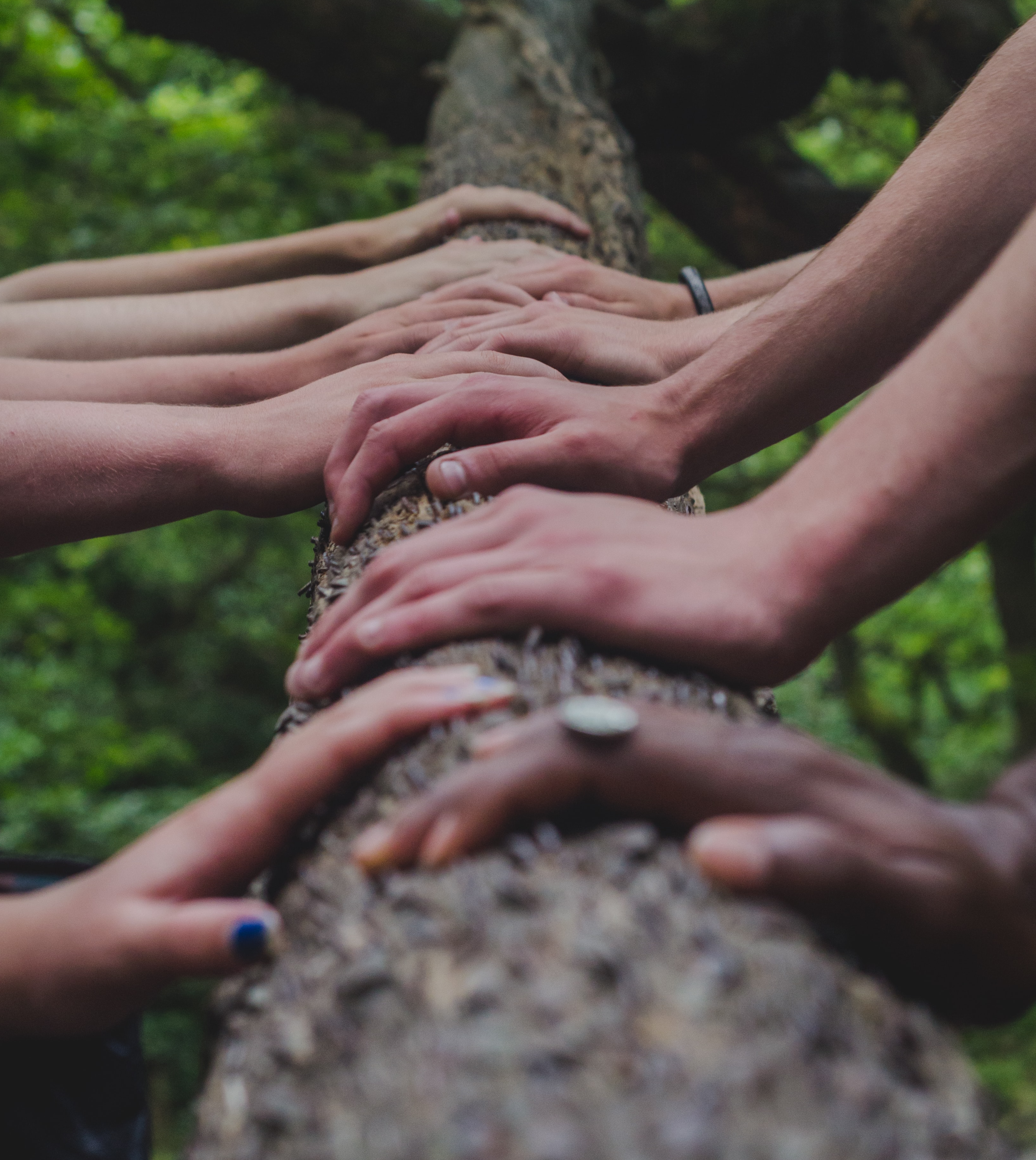 hands-tree-squarish